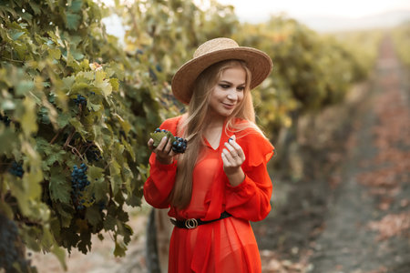 portrait of a happy woman in the summer vineyards at sunset. woman in a hat and smiling.の写真素材