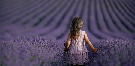 Lavender field girl banner. Back view happy girl in pink dress with flowing hair runs through a lilac field of lavender. Aromatherapy travelの写真素材