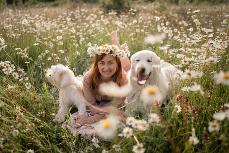 Woman dogs meadow chamomile. Woman embraces her furry friends in a serene chamomile field, surrounded by lush greenery. A heartwarming display of love and companionship between a woman and her dog.の写真素材