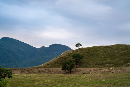 Caucasian mountain. Dagestan. Trees, rocks, mountains, view of the green mountains. Beautiful summer...