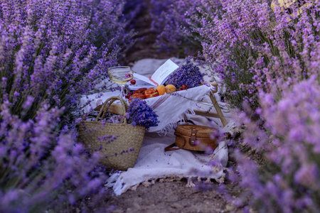 Picnic in a lavender field in Provence. Fantastic summer mood, floral landscape with lavender...