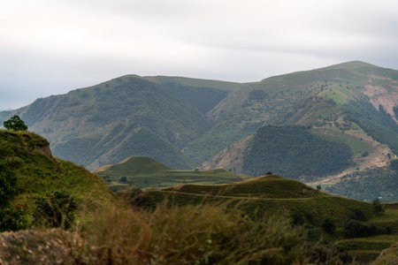 Caucasian mountain. Dagestan. Trees, rocks, mountains, view of the green mountains. Beautiful summer...