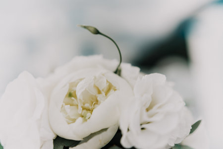 A bouquet of white flowers is sitting on a white surface. The flowers are arranged in a way that...
