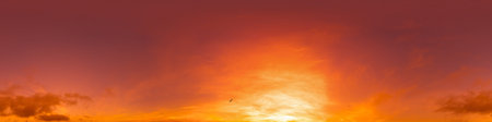 360 panorama of glowing sunset sky with bright pink Cirrus clouds. HDR 360 seamless spherical...