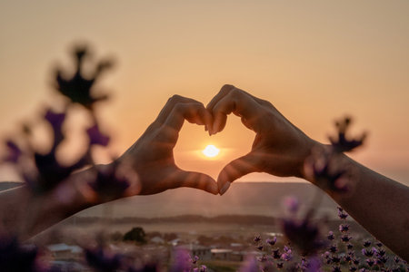 Two hands forming a heart shape in front of a purple field. The sun is setting in the background, creating a warm and romantic atmosphere.の写真素材