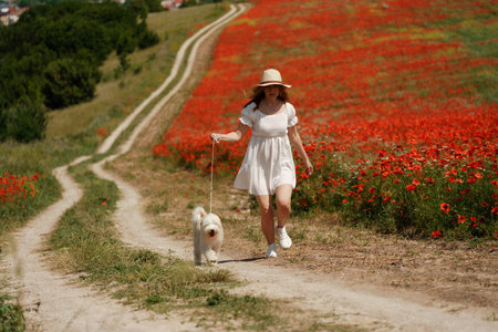 woman with dog. Happy woman walking with white dog the road along a blooming poppy field on a sunny day, She is wearing a white dress and a hat. On a walk with dogの写真素材