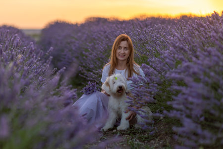 A woman and her dog are sitting in a field of lavenderの写真素材