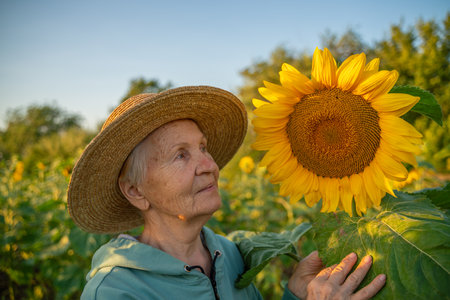 A woman in a straw hat is holding a sunflower. Concept of warmth and happiness, as the woman is surrounded by the bright and cheerful flower.の写真素材