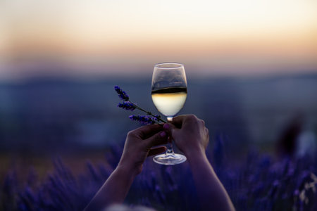 Glass white wine lavender field. Woman hand holds a glass with lavander and wine in the Lavender field at sunset Violet flowers on the background.. Conscious consumption. Wellness and natural conceptの写真素材