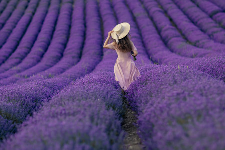 A woman is walking through a field of purple flowersの写真素材