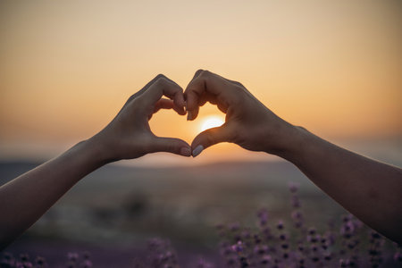 Two hands forming a heart shape in front of a purple field. The sun is setting in the background, creating a warm and romantic atmosphere.の写真素材