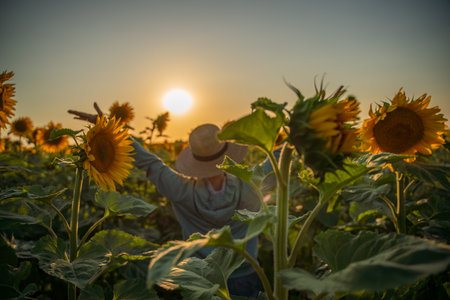 A woman in a straw hat is holding a sunflower. Concept of warmth and happiness, as the woman is surrounded by the bright and cheerful flower.の写真素材