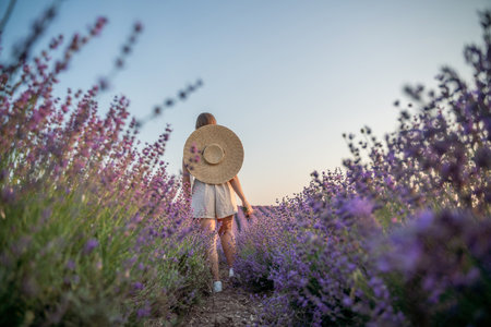A woman is walking through a field of purple flowers with a straw hat onの写真素材