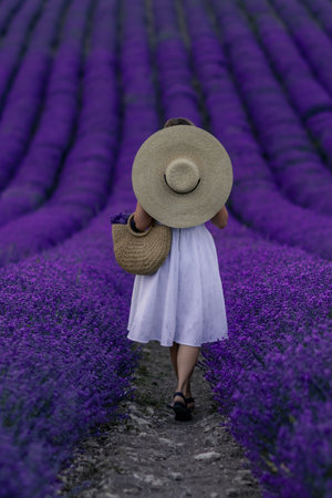 A woman is walking through a field of purple flowersの写真素材