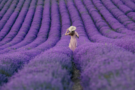 A woman is walking through a field of purple flowersの写真素材