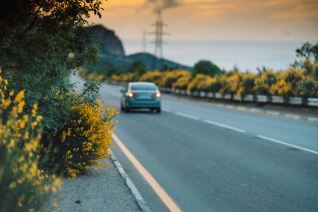 A car is driving down a road with yellow flowers on the sideの写真素材