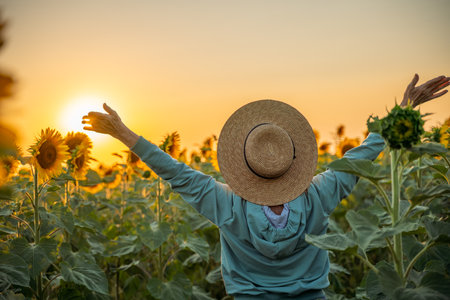 A woman wearing a straw hat stands in a field of sunflowers. She is smiling and she is happy.の写真素材