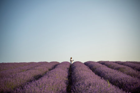 woman stands in a field of lavender. The sky is clear and the sun is shining brightly. The field is full of purple flowers, creating a peaceful and serene atmosphere.の写真素材