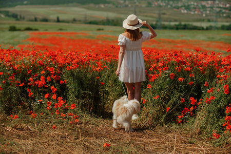 Field of poppies woman dog. Happy woman in a white dress and hat stand with her back through a blooming field of poppy with a white dog. Field of blooming poppies.の写真素材