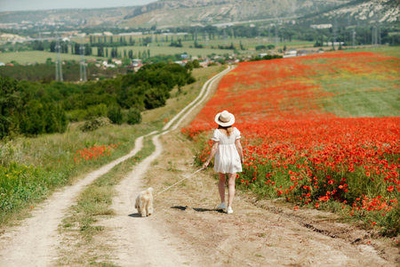 woman with dog. Happy woman walking with white dog the road along a blooming poppy field on a sunny day, She is wearing a white dress and a hat. On a walk with dogの写真素材