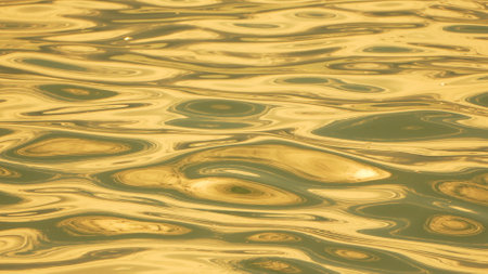 Water Ripples Golden Reflection Sunlightの写真素材