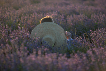 Lavender Field, Hat, Sunset: A hat rests amidst a purple lavender field at sunset.の写真素材