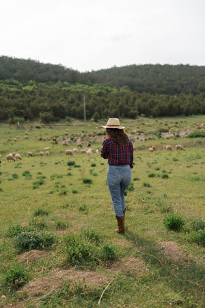 A woman wearing a hat and blue jeans walks through a field of sheep