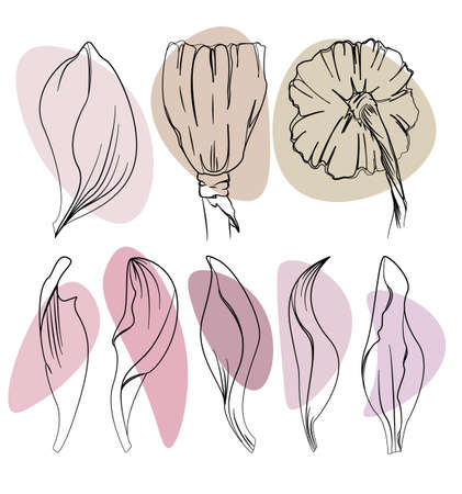 Set of hand drawn ink lotus flowers, seedpods, petals and leaves. Vector illustration isolated on white background. Design for print, textile, wedding invitations, greeting cards, graphic template.のイラスト素材