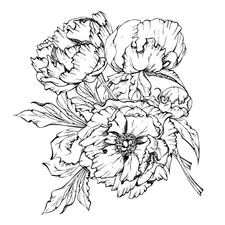 Hand drawn vector bouquet arrangement with peony flowers, buds and leaves. Isolated on white background. Design for invitations, wedding or greeting cards, wallpaper, print, textileのイラスト素材