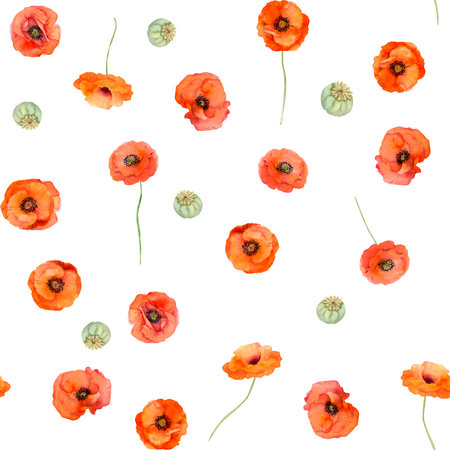 Watercolor seamless pattern with hand drawn summer bright red poppy flowers. Isolated on white background. Design for invitations, wedding, love or greeting cards, paper, print, textileの写真素材