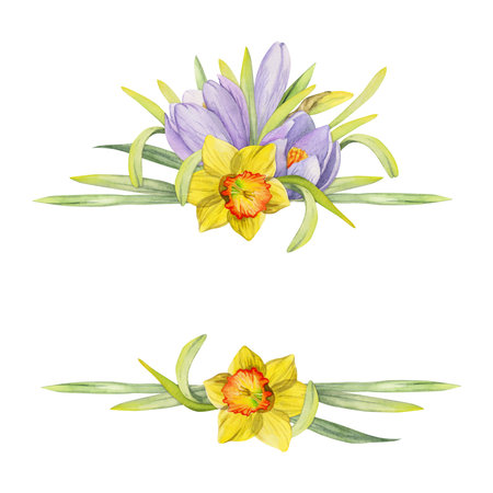 Watercolor hand drawn composition with spring flowers, crocus, snowdrops, daffodils, bow, gift tag. Isolated on white background. For invitations, wedding, greeting cards, wallpaper, print, textile.の写真素材
