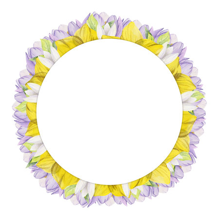 Watercolor hand drawn circle wreath with spring flowers, daffodils, crocus, snowdrops, leaves. Isolated on white background. Design for invitations, wedding, greeting cards, wallpaper, print, textile.の写真素材