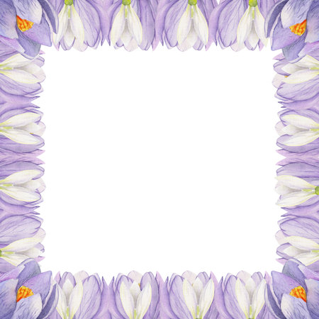 Watercolor hand drawn square frame with spring flowers, crocus, snowdrops, branches, leaves. Isolated on white background. Design for invitations, wedding, greeting cards, wallpaper, print, textile.の写真素材