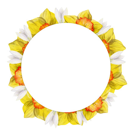 Watercolor hand drawn circle wreath with spring flowers, daffodils, crocus, snowdrops, leaves. Isolated on white background. Design for invitations, wedding, greeting cards, wallpaper, print, textile.の写真素材