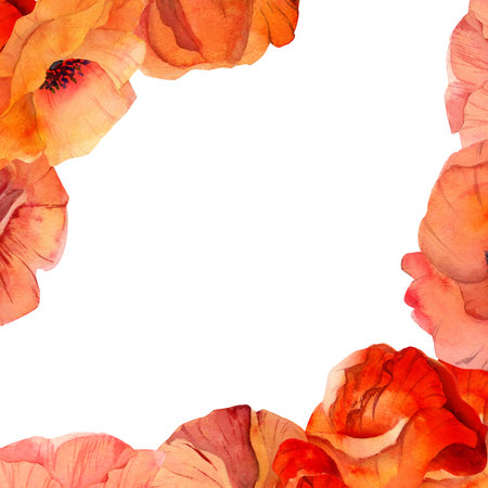 Watercolor square frame composition with hand drawn summer bright red poppy flowers. Isolated on white background. Design for invitations, wedding, love or greeting cards, paper, print, textileの写真素材