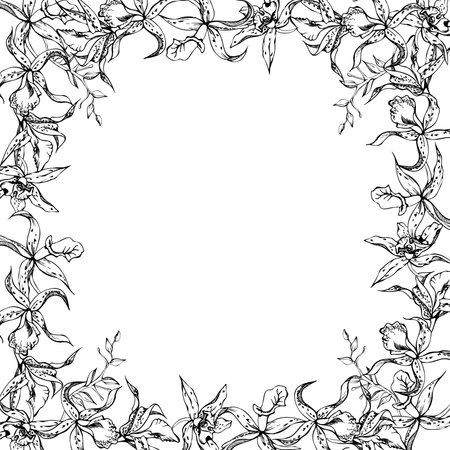Hand drawn vector ink orchid flowers and branches, monochrome, detailed outline. Horizontal frame composition. Isolated on white background. Design for wall art, wedding, print, tattoo, cover, card.のイラスト素材