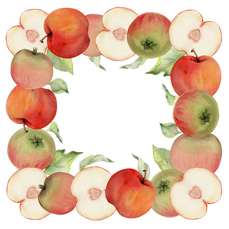 Hand drawn watercolor apple fruits, ripe full and slices, red and green. Square frame composition. Isolated object on white background. Design for wall art, wedding, print, fabric, cover, card.の写真素材