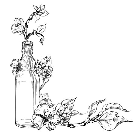 Hand drawn ink composition with apple flowers on branch with leaves and glass bottle. Isolated on white background. Design for wall art, wedding, print, fabric, cover, card, invitation.のイラスト素材
