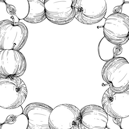 Hand drawn ink apple fruits, ripe full and slices, monochrome vector, detailed outline Square frame composition. Isolated on white background. Design for wall art, wedding, print, fabric, cover, card.のイラスト素材