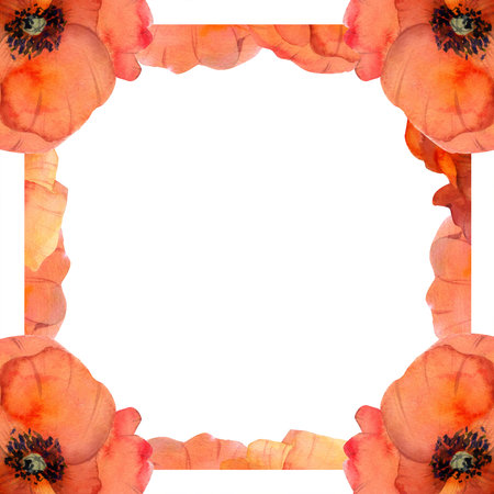 Watercolor square frame composition with hand drawn summer bright red poppy flowers. Isolated on white background. Design for invitations, wedding, love or greeting cards, paper, print, textileの写真素材