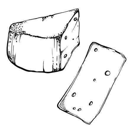 Hand drawn vector ink illustration. Parmesan edam emmental fontina gruyere cheese dairy product. Single object isolated on white. Design for restaurant, menu, cafe, food shop or package, flyer, print.のイラスト素材