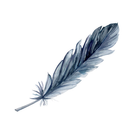 Hand drawn watercolor bird feather plume quill boho tribal ethnic indian blue black. Single object isolated on white background. Design charm amulet, dreamcatcher, scrapbooking, handmade craft, tattooの写真素材