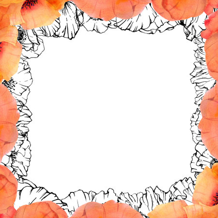 Hand drawn watercolor botanical illustration flowers leaves. Red poppy papaver, stems buds seedpods. Border frame isolated on white background. Design wedding, love cards, remembrance day stationeryの写真素材