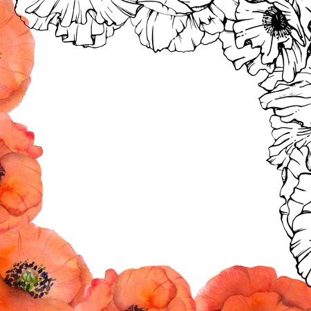 Hand drawn watercolor botanical illustration flowers leaves. Red poppy papaver, stems buds seedpods. Border frame isolated on white background. Design wedding, love cards, remembrance day stationeryの写真素材