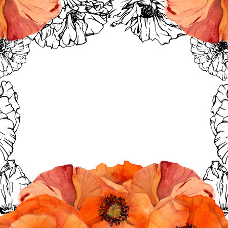 Hand drawn watercolor botanical illustration flowers leaves. Red poppy papaver, stems buds seedpods. Border frame isolated on white background. Design wedding, love cards, remembrance day stationeryの写真素材