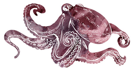 Watercolor and ink hand drawn marine life, sea ocean underwater creatures. fish, shells algae seaweed. Single object illustration, stylized, isolated on white. Zoo shop, aquarium, cosmetics, resortの写真素材