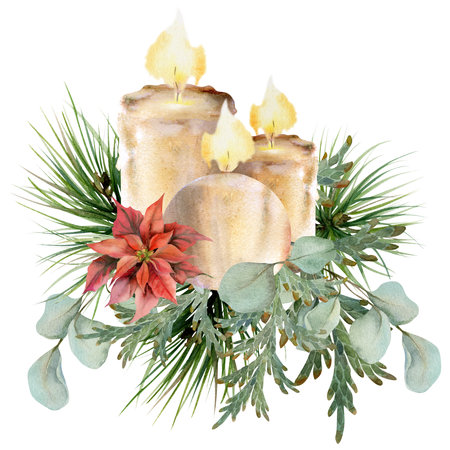Candles with pine fir tree, poinsettia, eucalyptus branches Watercolor hand drawn illustration, composition isolated on white. Xmas, happy new year festive, noel navidad holiday. For cards, gifts.の写真素材