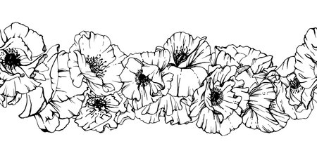Hand drawn vector graphic botanical illustration flowers leaves. Red poppy papaver, stems buds seedpods. Seamless banner isolated white background. Design wedding, cards, remembrance day stationeryのイラスト素材