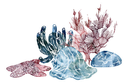 Watercolor and ink hand drawn marine life, sea ocean underwater creatures. fish, shells algae seaweed. Composition illustration, stylized, isolated on white. For zoo shop, aquarium, cosmetics, resortの写真素材