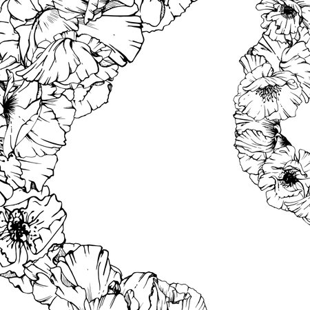 Hand drawn vector graphic botanical illustration flowers leaves. Red poppy papaver, stems buds seedpods. Border frame isolated on white background. Design wedding, cards, remembrance day stationery.のイラスト素材